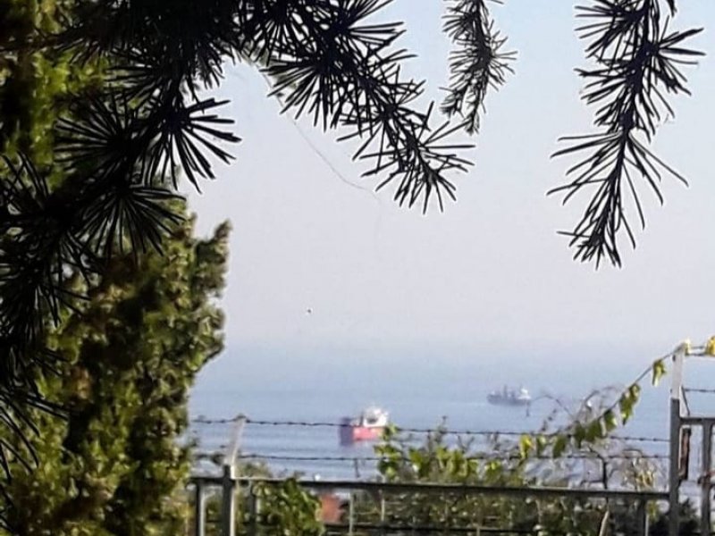 İstanbul Beylikdüzü Yuva Yaşlı Bakım Merkezi